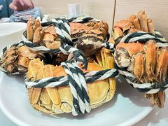 -北京海德酒店温泉