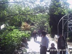 -石老人观光园
