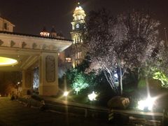 星河湾酒店(浦东店)-上海浦东星河湾酒店