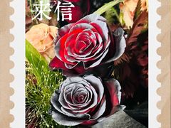 -网鱼网咖(上海静安寺店)