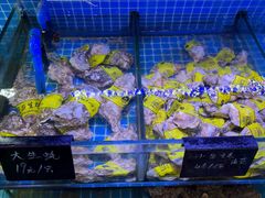 -渔民船说·北塘海鲜·天津菜·海肠捞饭(北塘古镇店)