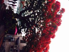南丫岛-南丫岛