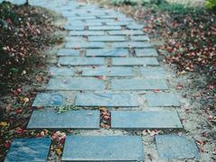 -梁鸿国家湿地公园