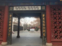 -大槐树寻根祭祖园