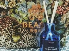 -BEAST野兽派(上海浦东嘉里城店)