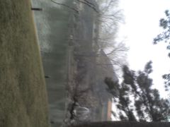 -钓鱼台国宾馆
