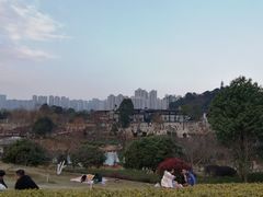 -桃花岭景区