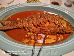 -阿五黄河大鲤鱼(纬三路店)