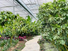 -歌斐颂巧克力小镇