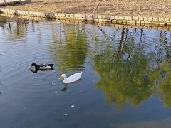 -三里河公园