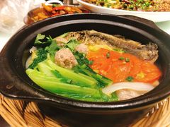 -新概念来凤鱼(璧山店)