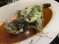 -鑫悦楼煎蟹·16年海鲜大排档