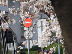 -上海南浦大桥长途旅游客运站