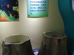 -上海昆虫博物馆