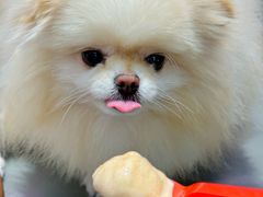 -DQ·蛋糕·冰淇淋(五角场万达店)