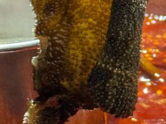 -凤来栖·净庭院·火锅(欧尚店)