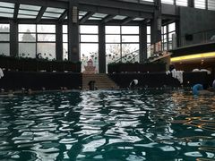 -和园景逸大酒店朗月汤泉