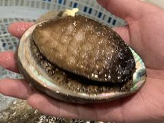 -江杨农产品批发市场