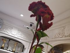 -大鸭梨烤鸭(左家庄店)