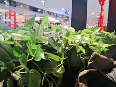 -摩欧客意式餐厅(高新活力汇店)