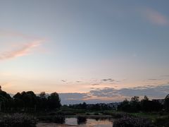 -两河城市森林公园