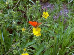 景点-北极村旅游风景区