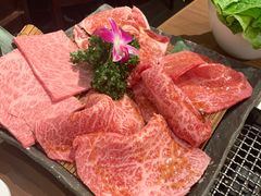 -俺的焼肉(銀座9丁目店)