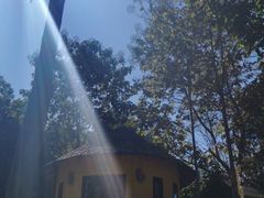 -黄色小屋