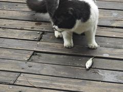 -重庆彩云湖湿地公园