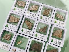 -辽宁古生物博物馆