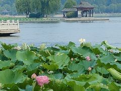 -济南大明湖景区