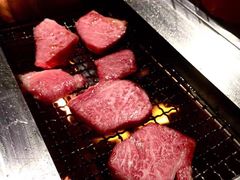 -俺的焼肉(銀座9丁目店)