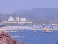 -玫瑰海岸文化旅游度假区