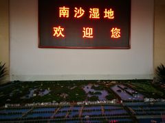 -大湾区中央湿地公园