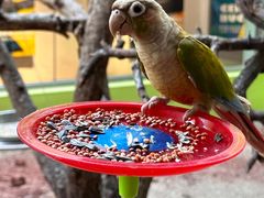 -北京野生动物园