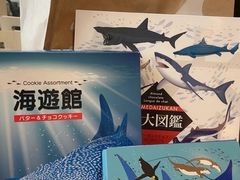 -大阪海游馆