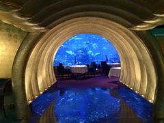 -迪拜帆船酒店海底餐厅