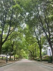 -上海美兰湖妇产科医院