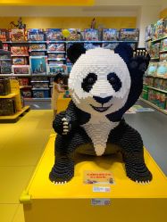 -kidsland(上海环球港店)