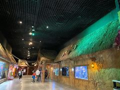 -华夏文旅海洋公园