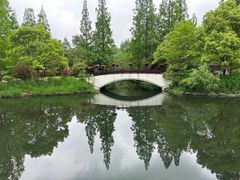 -东平国家森林公园