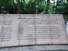 -八大关景区