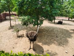 -石家庄市动物园