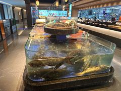 -高佳庄·海鲜酒楼(定海店)