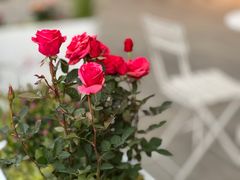 -Seesaw Coffee(苏州中心店)