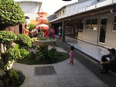 -巴厘岛黄金金兔咖啡工厂