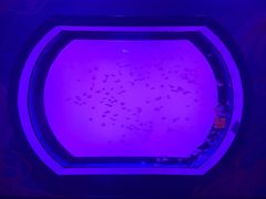 -沈阳海洋探索中心