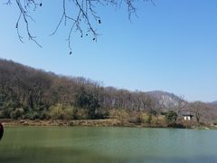 -镇江市南山风景名胜区竹林景区