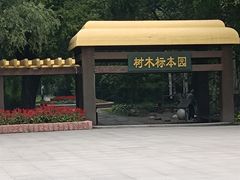 -黑龙江省森林植物园