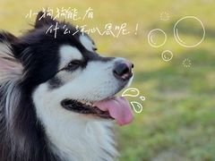 -渭河城市绿地运动公园